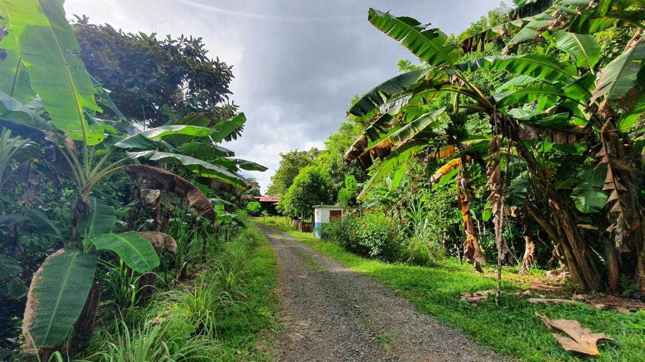 Jungle Eco Reserve Otel Colon Dış mekan fotoğraf