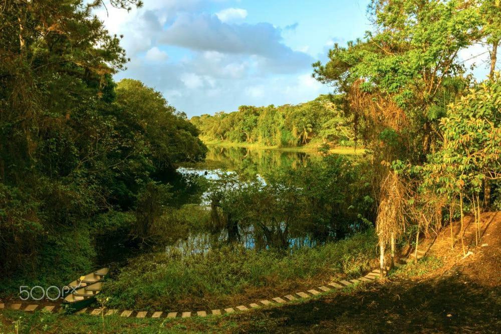 Jungle Eco Reserve Otel Colon Dış mekan fotoğraf