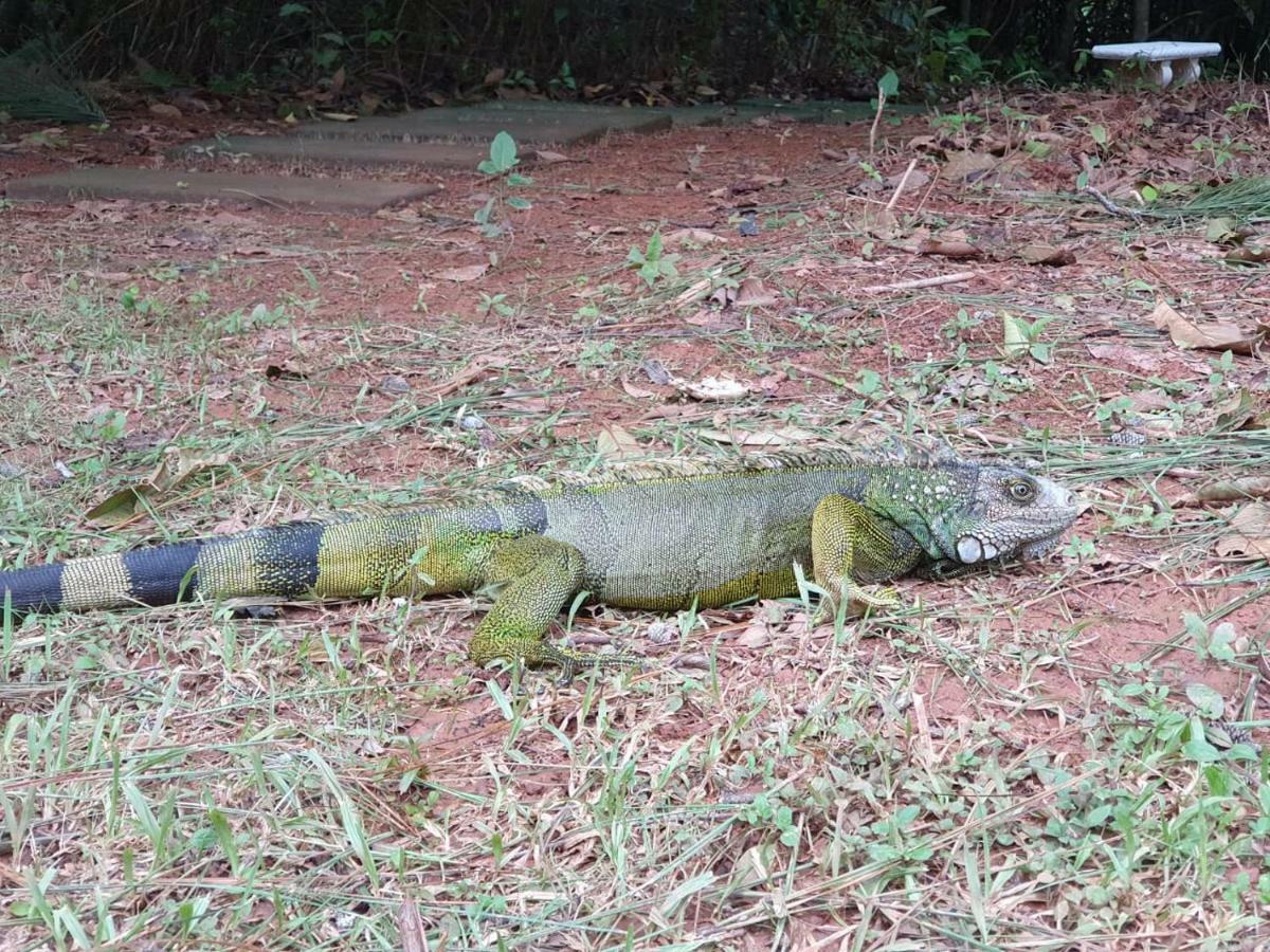 Jungle Eco Reserve Otel Colon Dış mekan fotoğraf