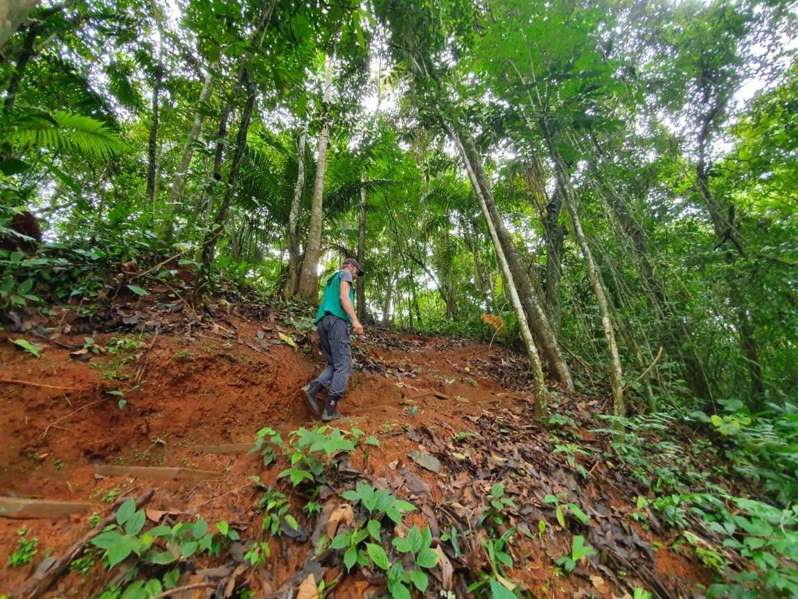 Jungle Eco Reserve Otel Colon Dış mekan fotoğraf