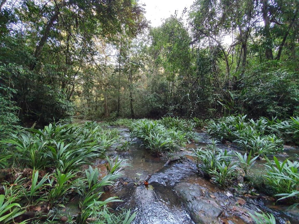 Jungle Eco Reserve Otel Colon Dış mekan fotoğraf