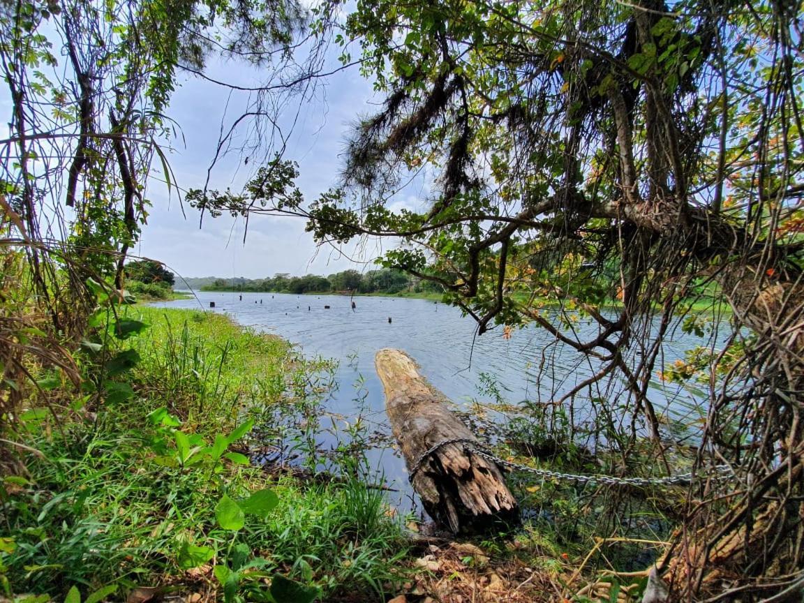 Jungle Eco Reserve Otel Colon Dış mekan fotoğraf