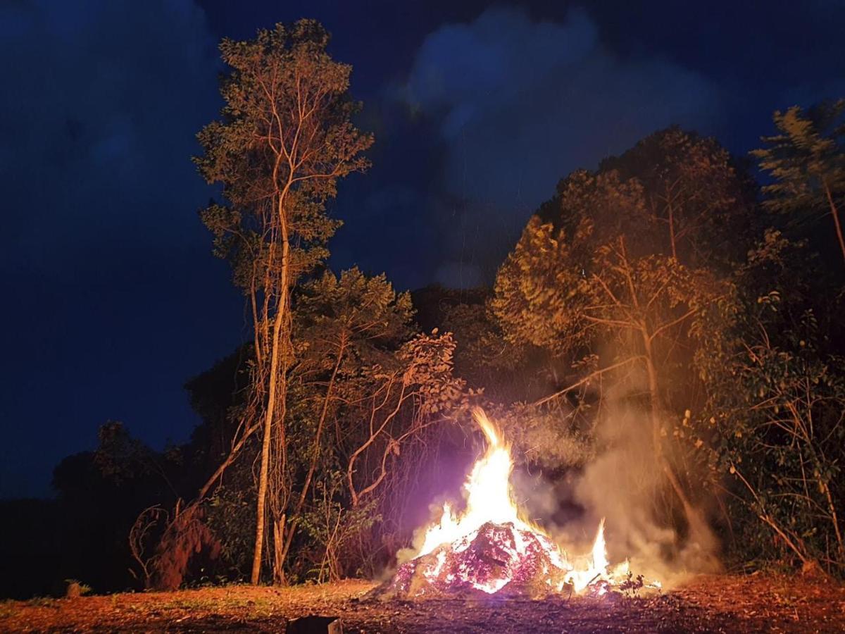 Jungle Eco Reserve Otel Colon Dış mekan fotoğraf