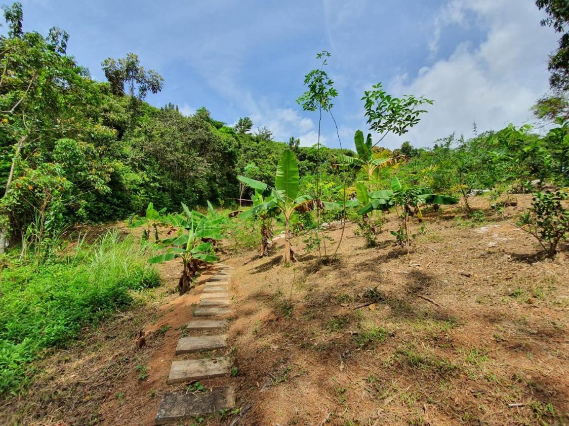 Jungle Eco Reserve Otel Colon Dış mekan fotoğraf