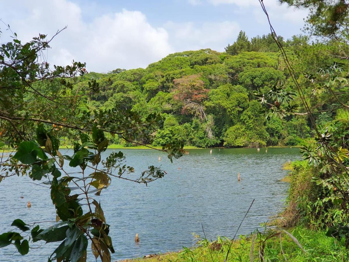 Jungle Eco Reserve Otel Colon Dış mekan fotoğraf